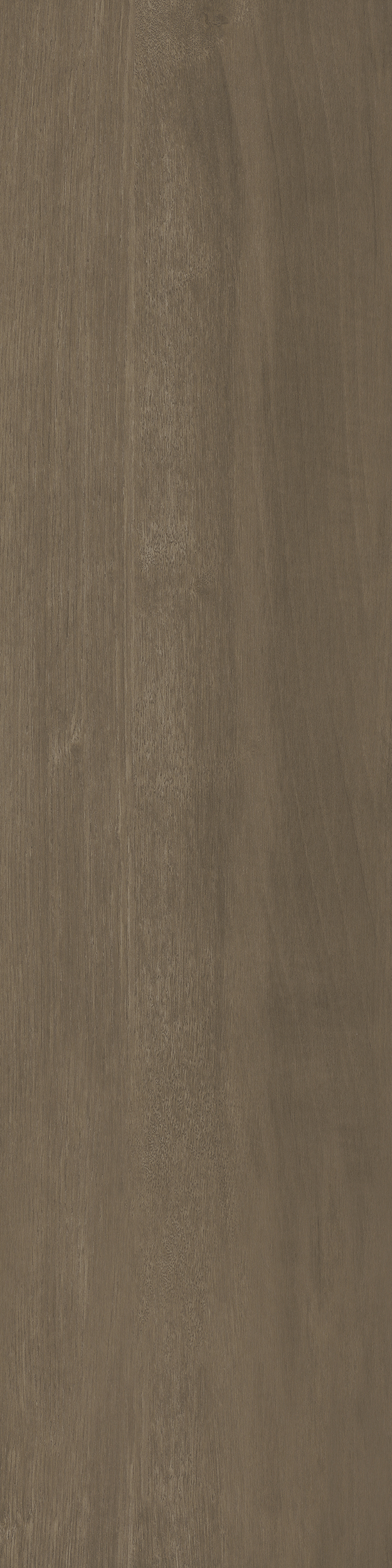 A033-02- European Walnut