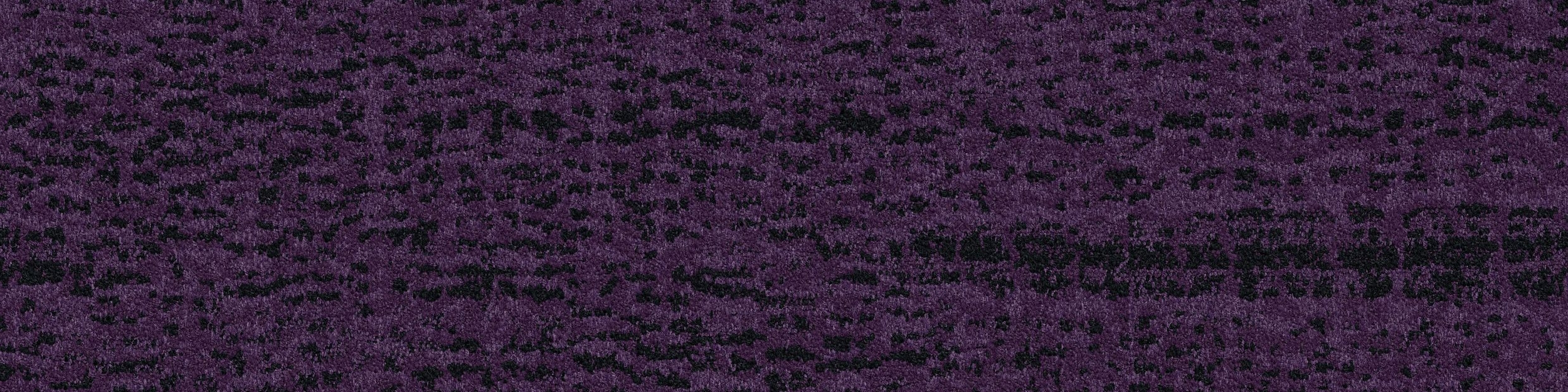 8048-003-000 Aubergine