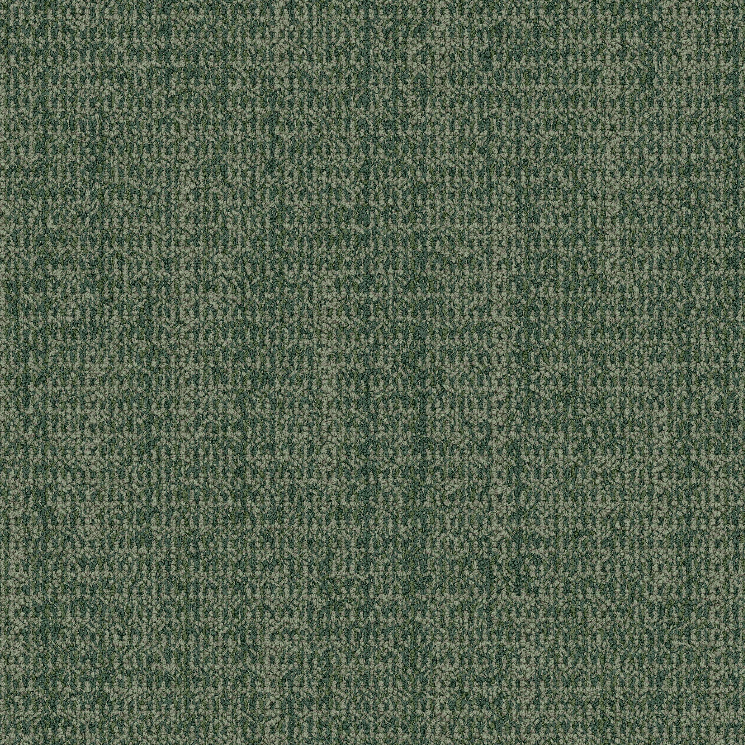 4306-008-000 Forest