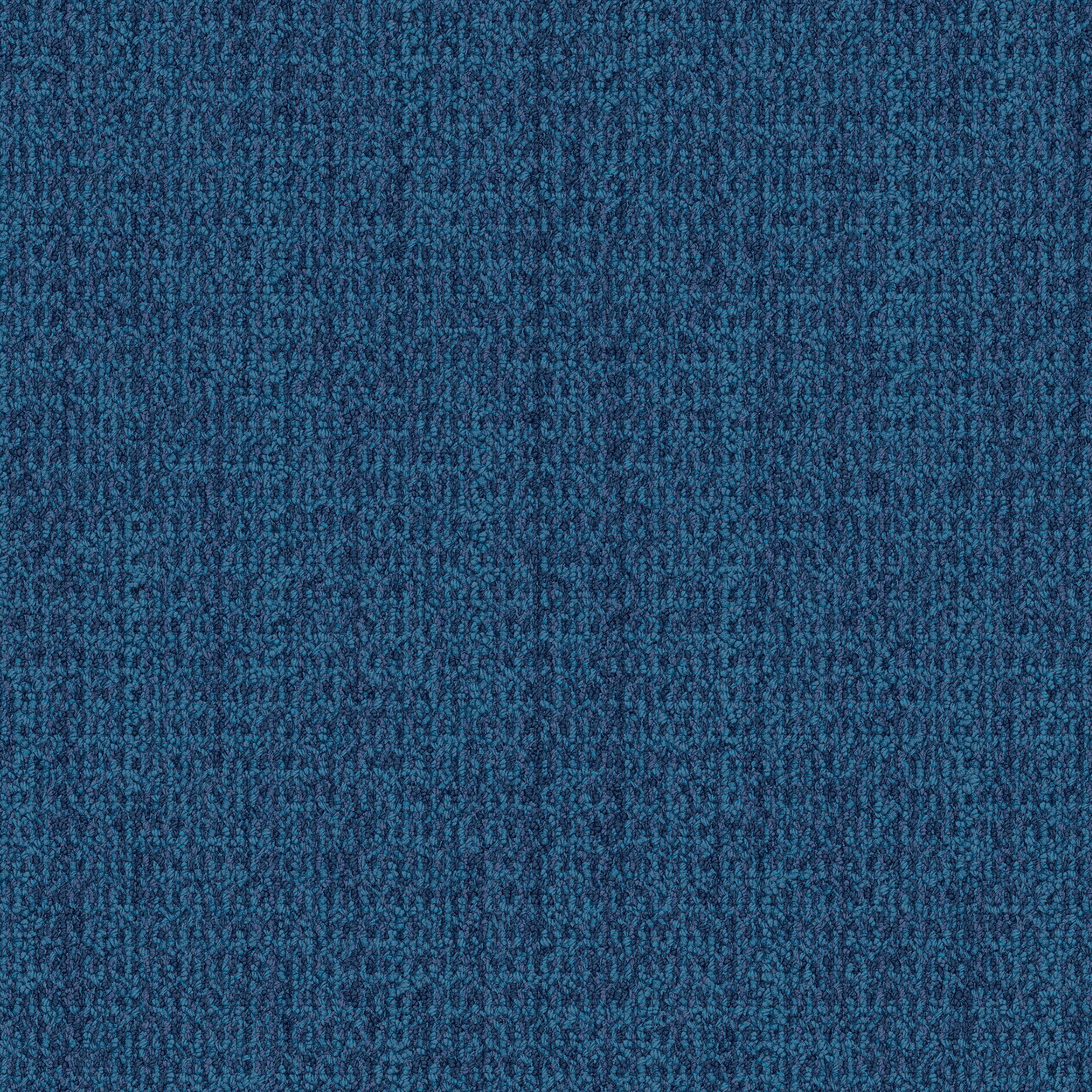 4306-007-000 Ocean